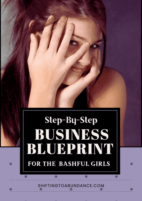 Business Blueprint for the Bashful Girls